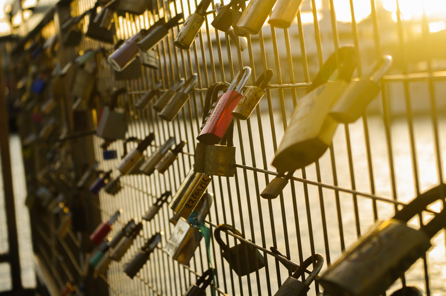Locks on a fence in Auckland